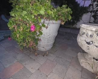 Jumbo terra cotta and white stone planters w/o plants $50 w/plant $75