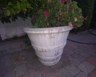Planter w plant $75.00
