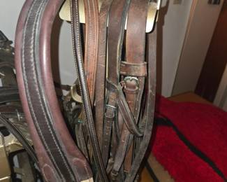 Horse tack 