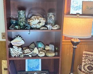 Beautiful rock, fossil and geode collection, as well as seashells and sea glass.