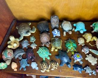 Large turtle collection.