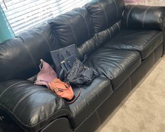 Sleeper Sofa