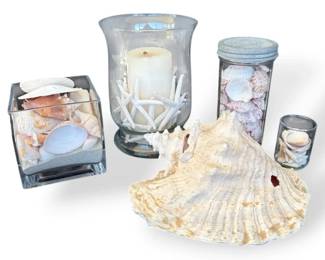 Conch Shell,  More Jars Of Seashells