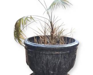 Large Blue Ceramic Planter On Wheels