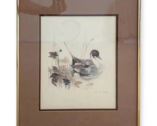 Framed Watercolor Lithograph Waterfowl Northern Pintail Duck Signed by Mads Stage 20.25H x 16.25W
