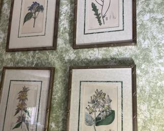Botanical prints