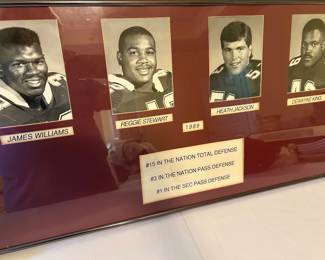 1989 Bulldog Defense Stats
