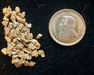 Gold Nuggets and Gold Coin