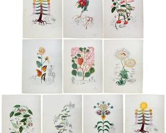 Salvador Dali "Flora Dalinae" Suite 1968