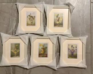 Fairies Framed Picture Set
