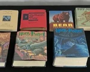 Boy Scout, Harry Potter More