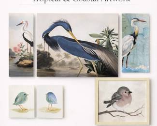 Tropical and coastal bird art collection