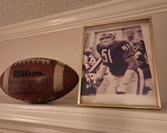 Vintage HS Football Wilson 1005-P TDS 