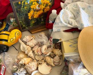Seashells