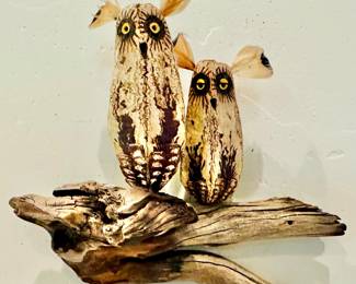 "Mahogany Pod Owls on Chamisa" by Robert Rivera