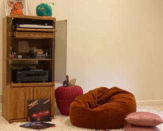 Wooden Media Center, vintage Bean Bag chair, Garfield mirror