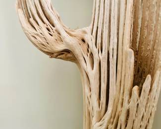 Saguaro Cactus Skeleton - 41"w x 93"h x 33"d