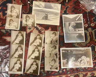 Lot 44: Family Of Dogs Scotties & Terriers Cleveland Family