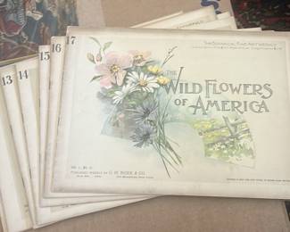 Lot 140: Wildflowers Of America 1894, Volumes 10 Through 17
