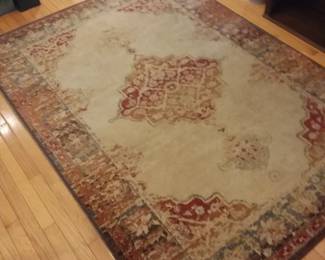 Entryway area rug