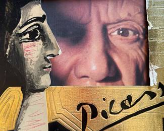 PICASSO BOOK