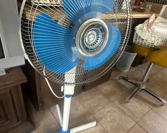Fan