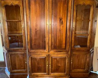 Entertainment center with bookcases for media, storage, closet, collections