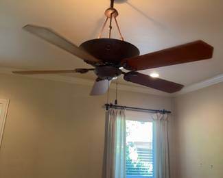 Ceiling fan