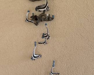 Driftwood Fish Mobile with Beads