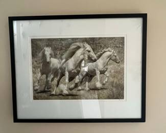 Three Running Horses Art Print by Peter D. Smith
