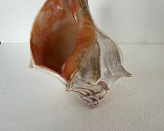 Carved Pillar Candles and Conch Shell