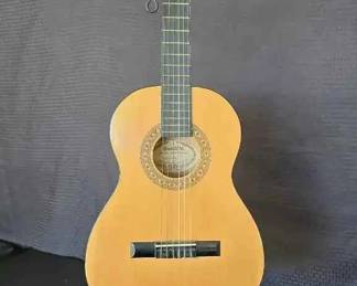 KE166Sunlight acoustic guitar