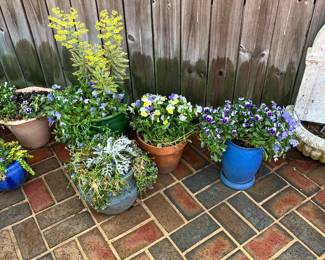 All these pots are in great condition