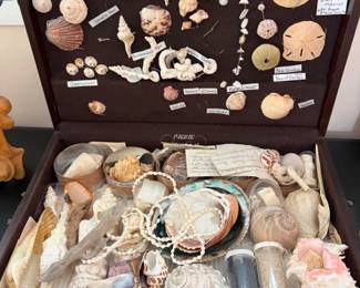 Shell momento art box