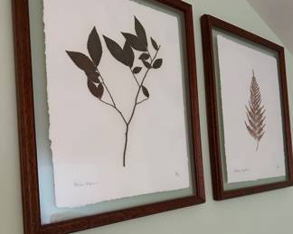 Botanical prints of pressed leaves 