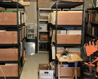 Record Collection (3 full shelves)
