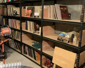 Record Collection (3 full shelves)