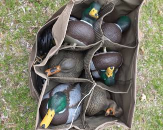 Flambeau Outdoors 12-pack Master Series Mallard duck decoy set featuring both drake and hen decoys in a mesh floater bag.