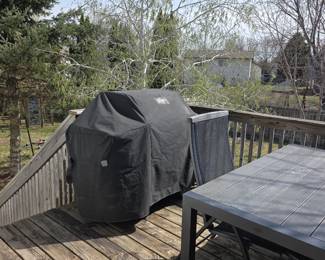 Outdoor Grill 