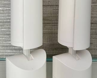 (2) Ring Cameras 