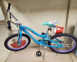 Schwinn Iris 20" Youth Bike - Light Blue