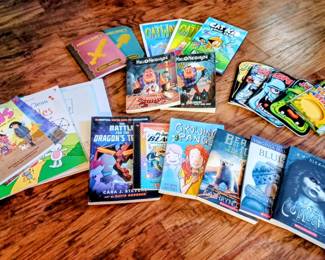 Book Series in Great Condition