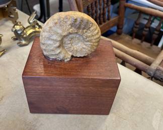 All kinds of goodies!