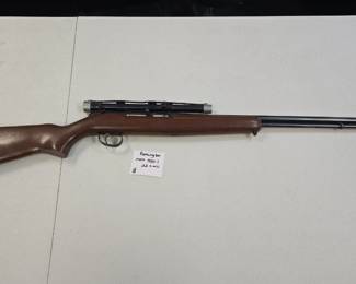 Remington model 550 22rifle