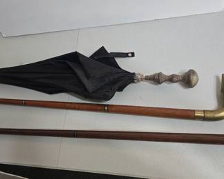 awesome brass handled canes and umbrella