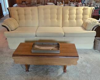 Vintage Couch - Living Room Area