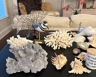 Shell Overview - Priced individually or make an offer on the whole lot!