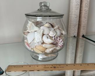 B6 - $15. Glass Canister of Shells. 