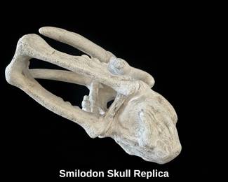Smilodon Skull Replica second image