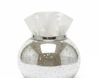 Vintage Mercury Glass Fish Bowl Tissue Box Cover